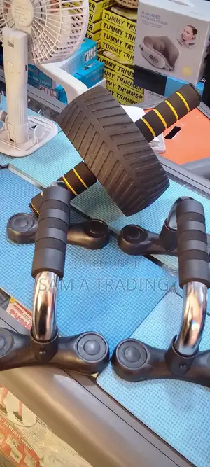 Ab Roller and Push Up Bars