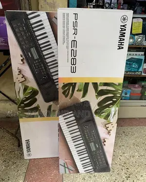 Yamaha PSR E283 Keyboard for Beginners