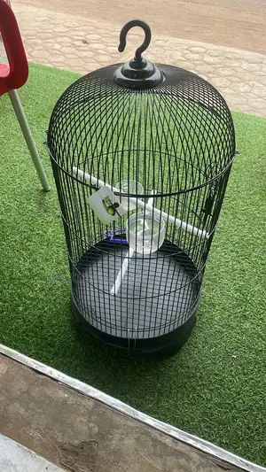 Black Long Parrot Cage