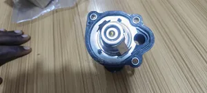 Ford Escape,Fusion,Focus,Transit Thermostat
