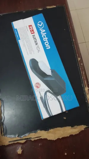 Alctron Sustain Pedal