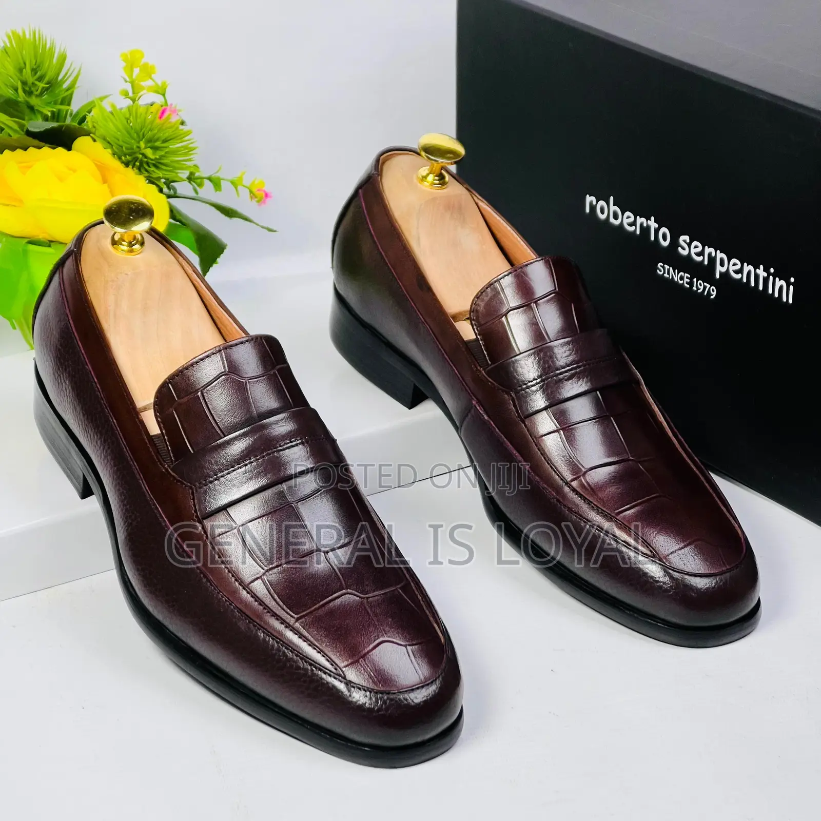 Roberto Serpentine Unique Coffee Color Men’S Shoe