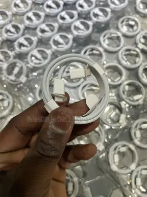 Original iPhone Cables