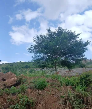 Quarter Plot of Land for Sale Located at Oyibi Saasabi Junc