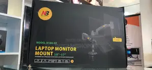Single Monitor and Laptop Mount.