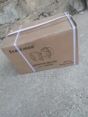 Vibrator Motor