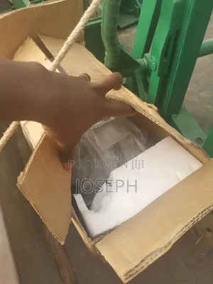 Vibrator Motor