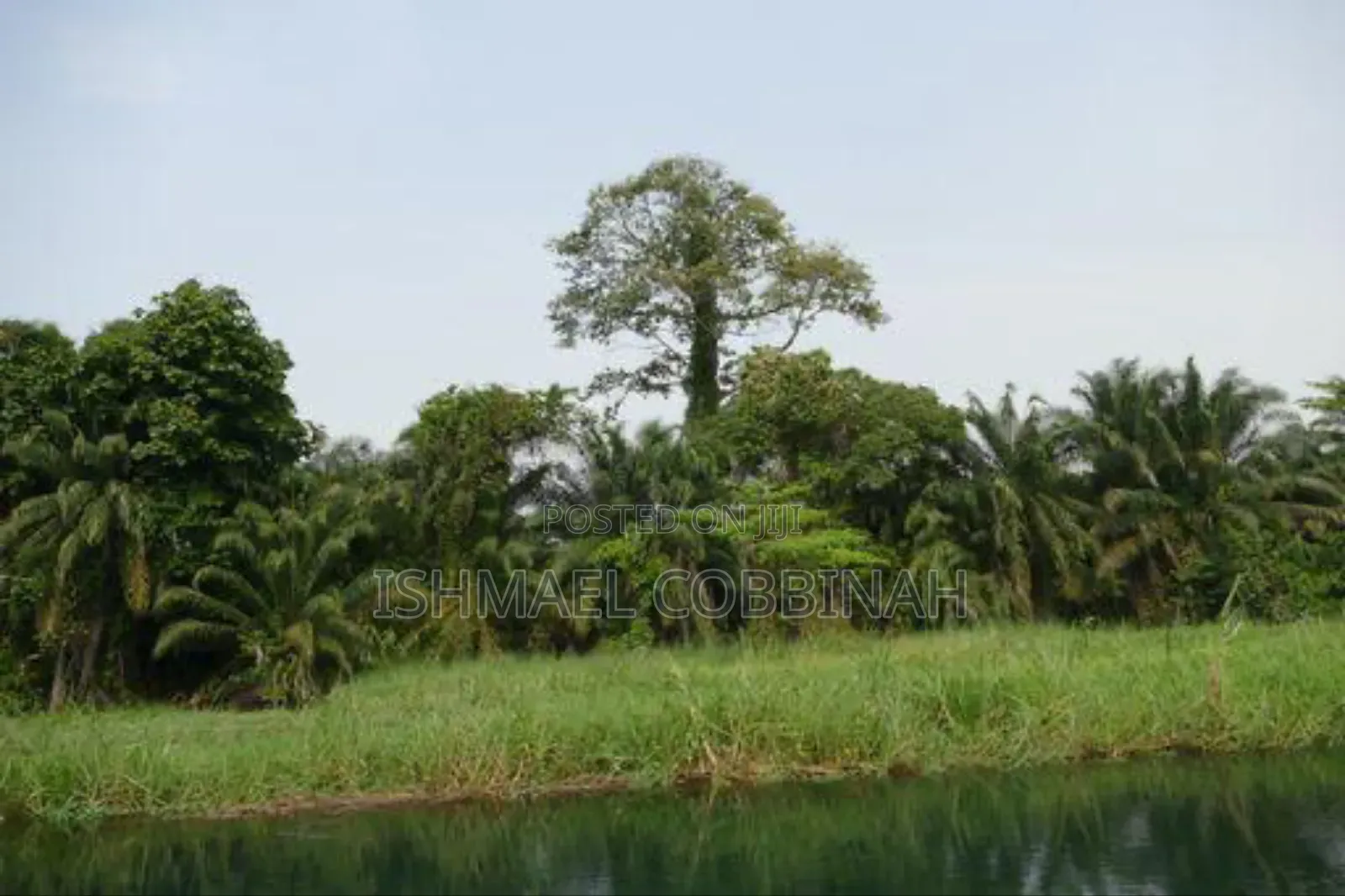 Litigation Free 30 Plot of Lands Forsale at Atimpoku