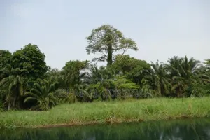 Litigation Free 30 Plot of Lands Forsale at Atimpoku