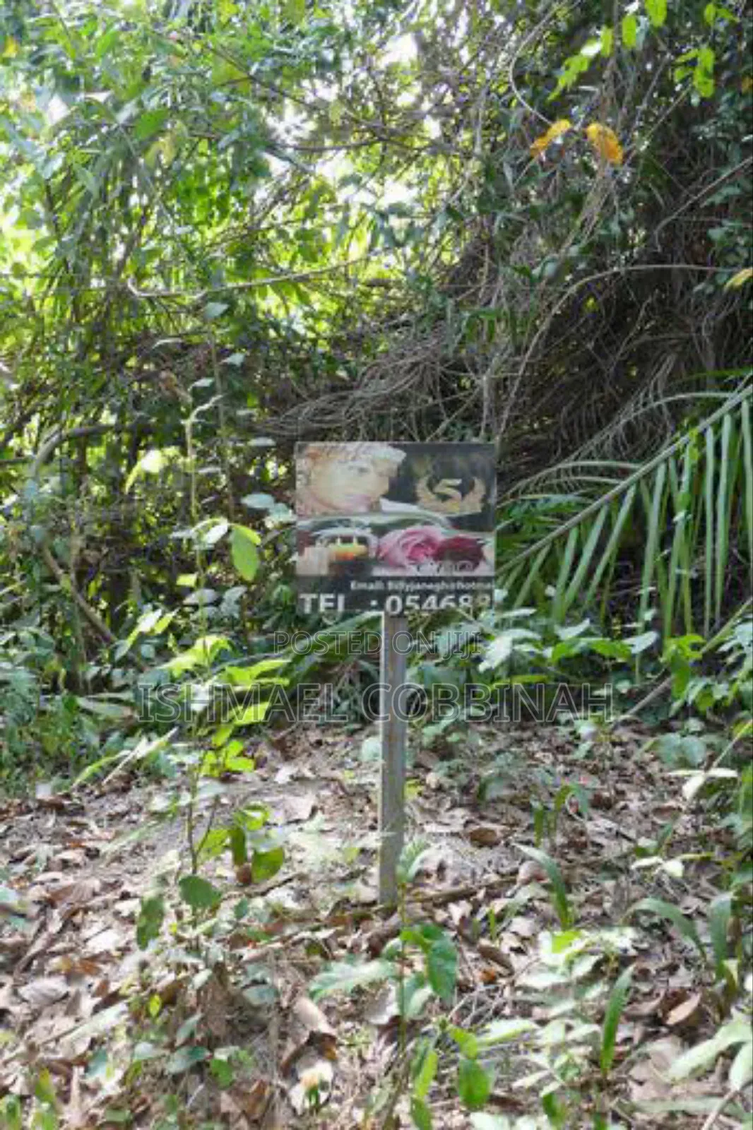 Litigation Free 30 Plot of Lands Forsale at Atimpoku