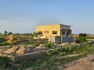Peace ! Spacious Plots at Prampram Beach Road