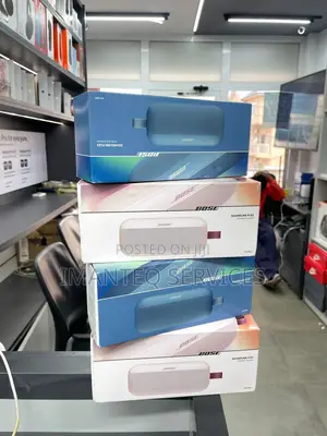 Bose Soundlink Flex 2