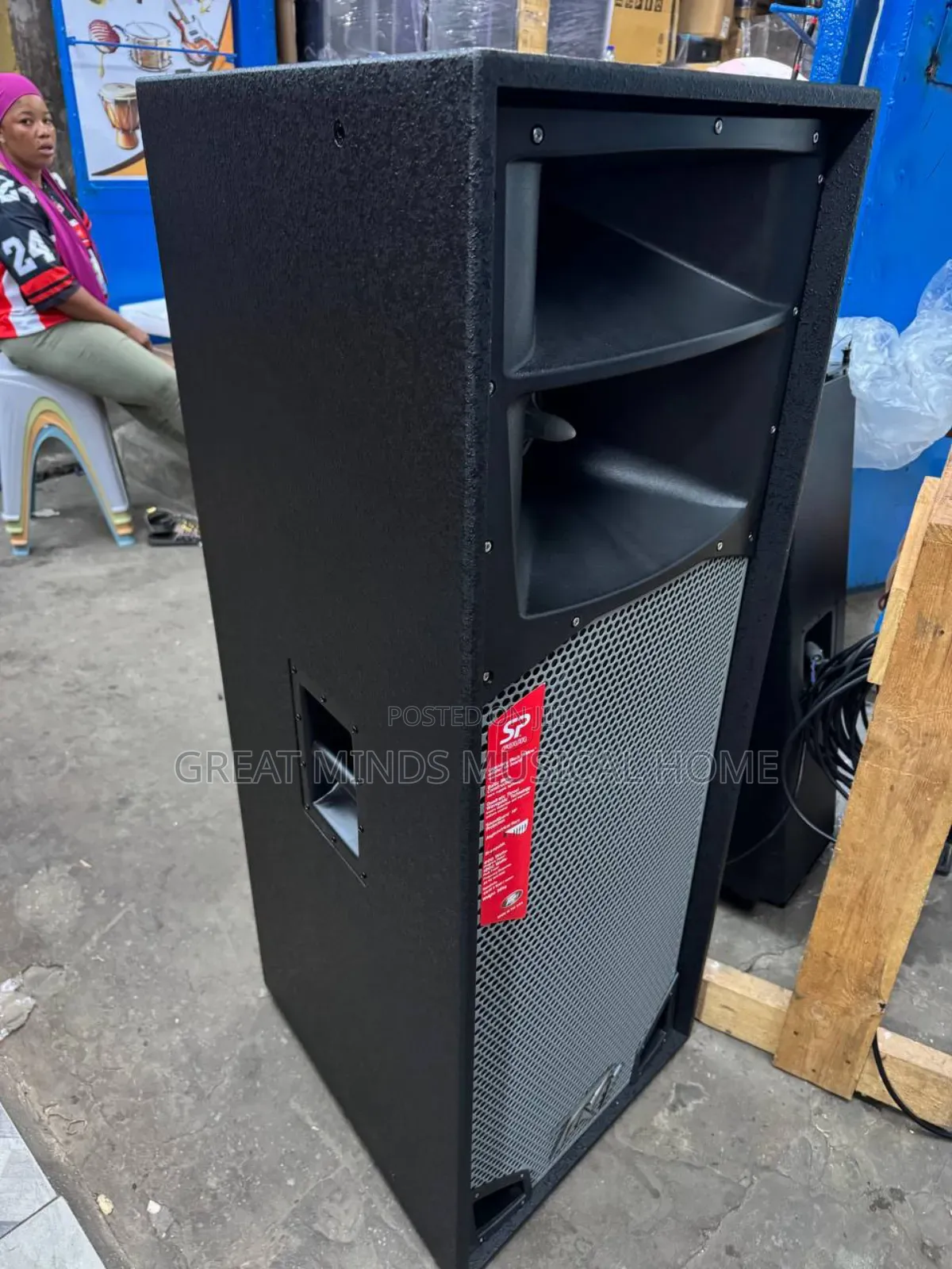 Peavey Spider Full Range Speakers