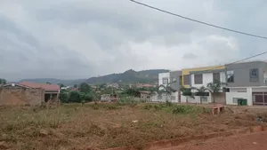 20 Acre's of Land for Sale Located at Dowdowa