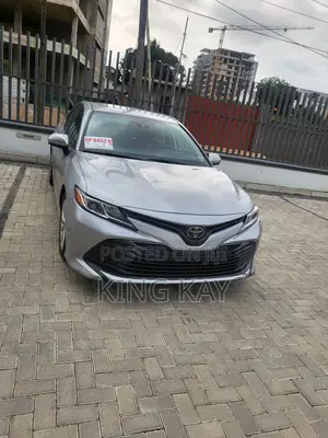 Toyota Camry LE (2.5L 4cyl 8A) 2019 Gray