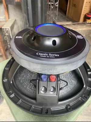 12 Inches Double Magnet Speaker