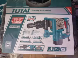 1300w Total Demolition Breaker