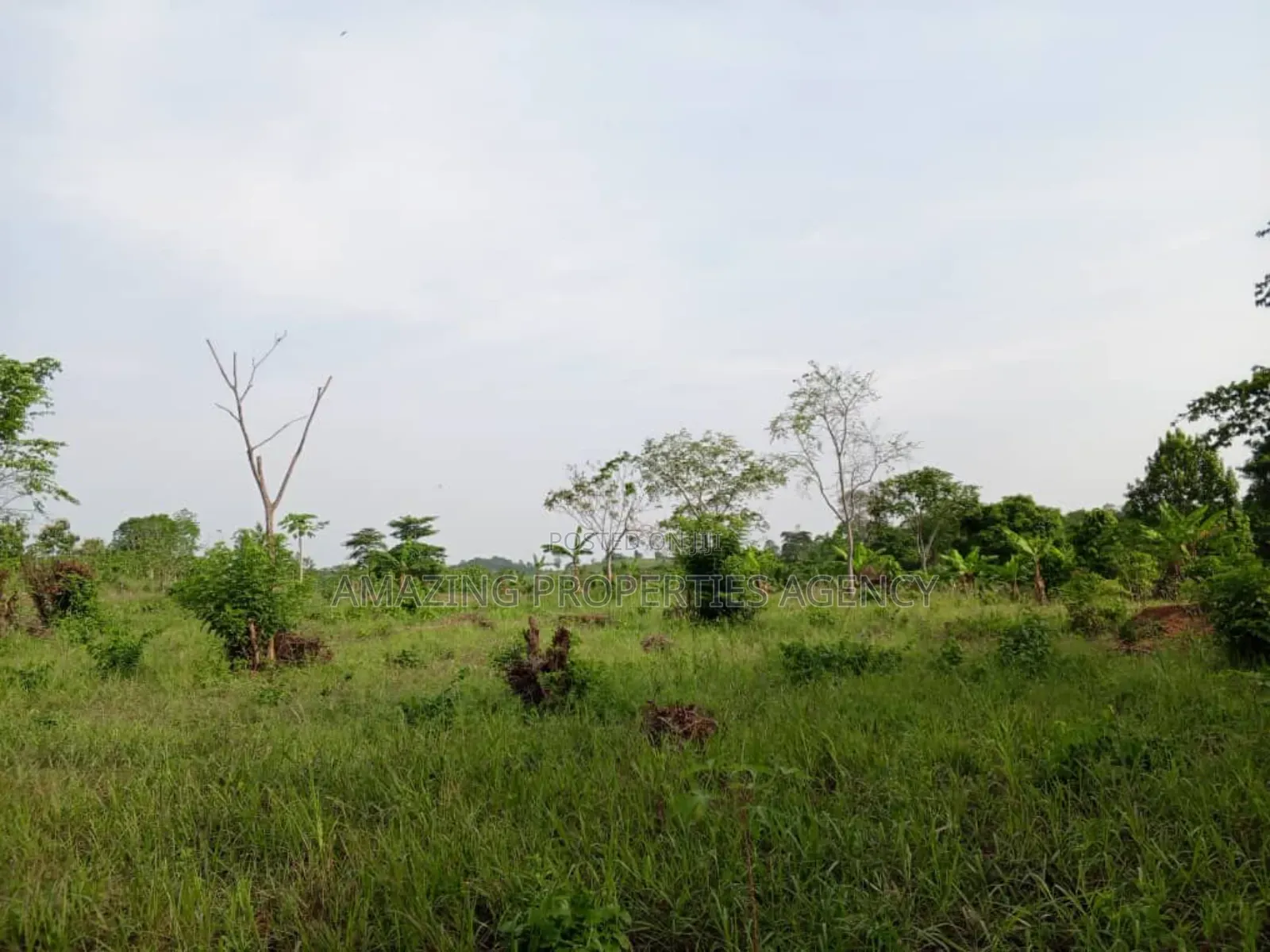 5 Acres of Prime Land at East Legon