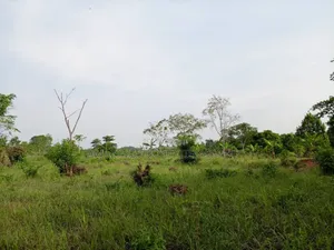 5 Acres of Prime Land at East Legon