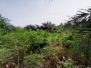 2 and Half Plots Land for Sale at School Junction