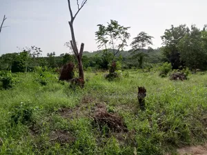 5 Acres of Prime Land for Sake at Okponglo
