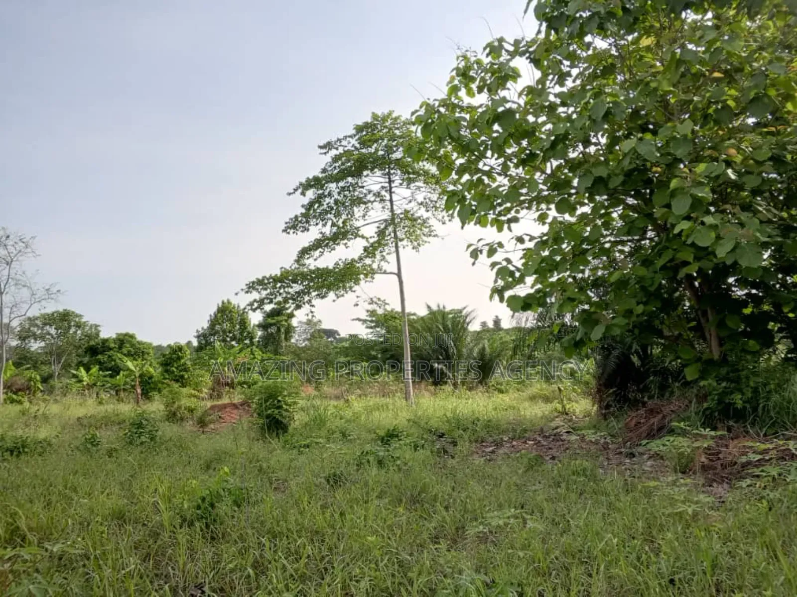 5 Acres of Prime Land for Sake at Okponglo