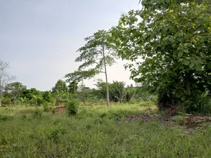 5 Acres of Prime Land for Sake at Okponglo