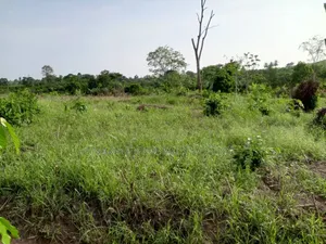 70x100 Plots of Land for Sale at East Legon