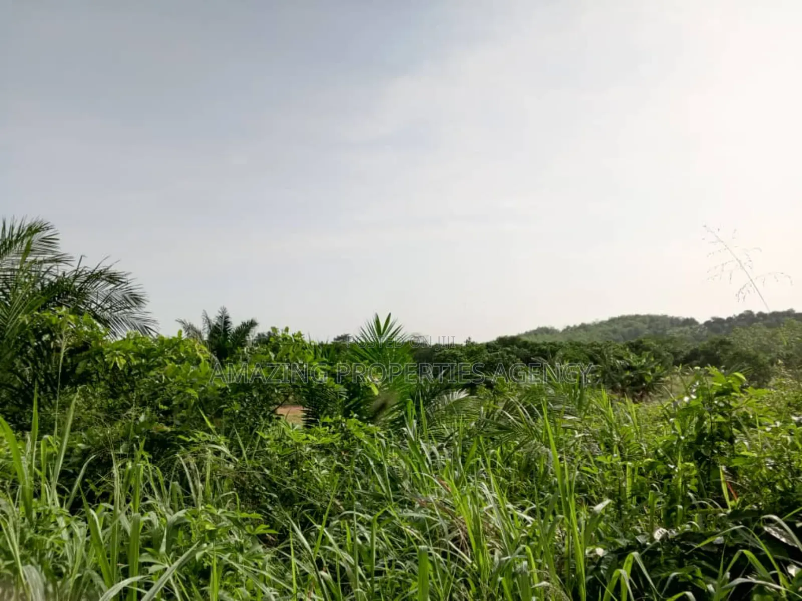 70x100 Plots of Land for Sale at East Legon