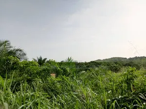 70x100 Plots of Land for Sale at East Legon