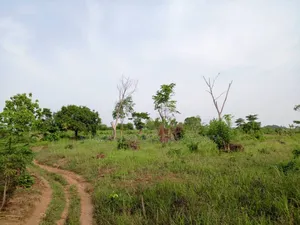 10'000 Acres of Land for Sale at Adeiso