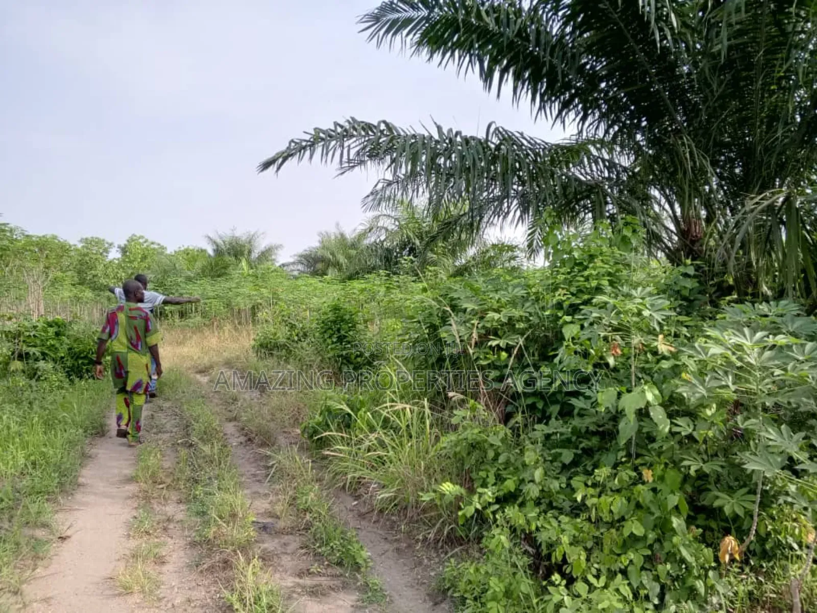 20 000 Acres of Land for Sale at Nsawam