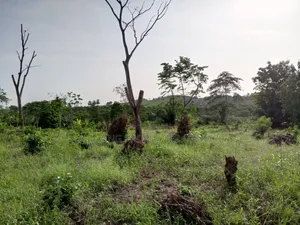 20 000 Acres of Land for Sale at Nsawam