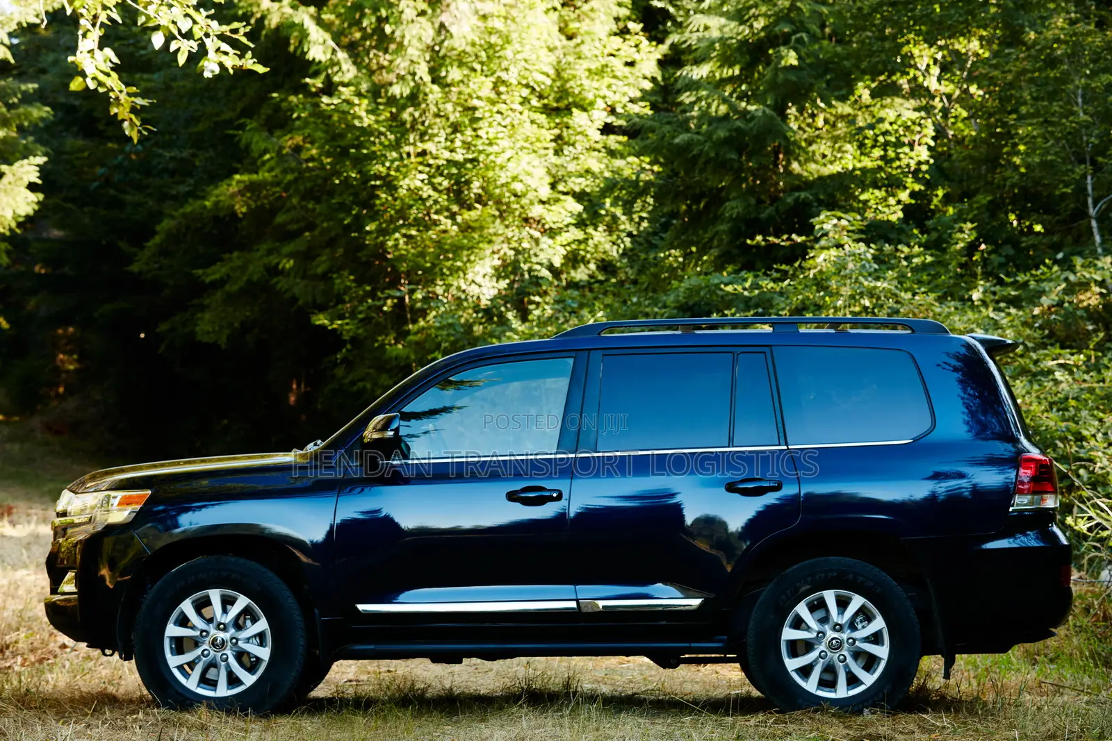 Toyota Land Cruiser 2019