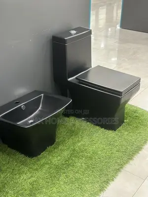 Combined Black Wc