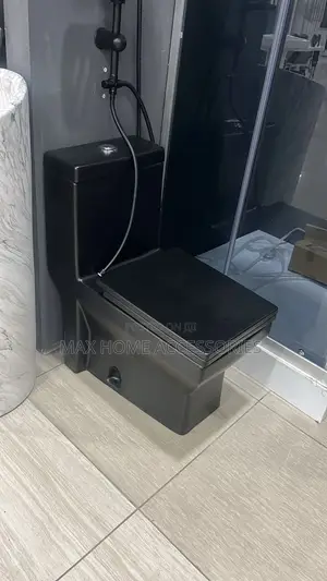 Combined Black Wc