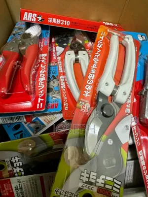 Prune Tools/ Pruning