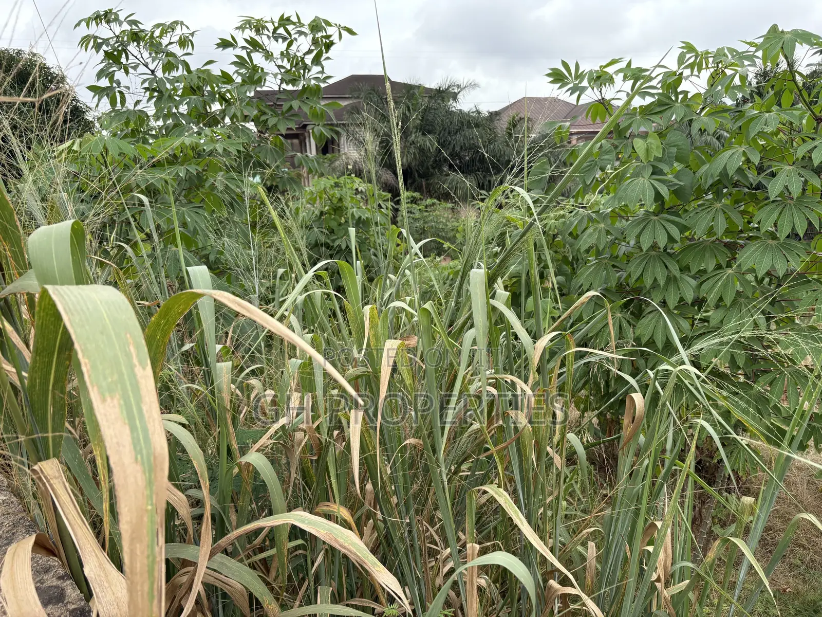 One Full Plot Sale at Hilltop.