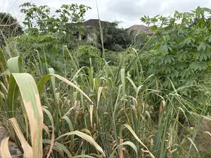 One Full Plot Sale at Hilltop.
