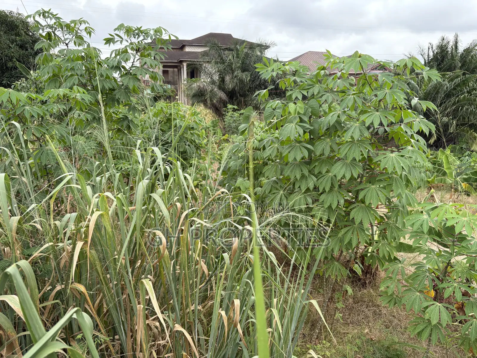 One Full Plot Sale at Hilltop.