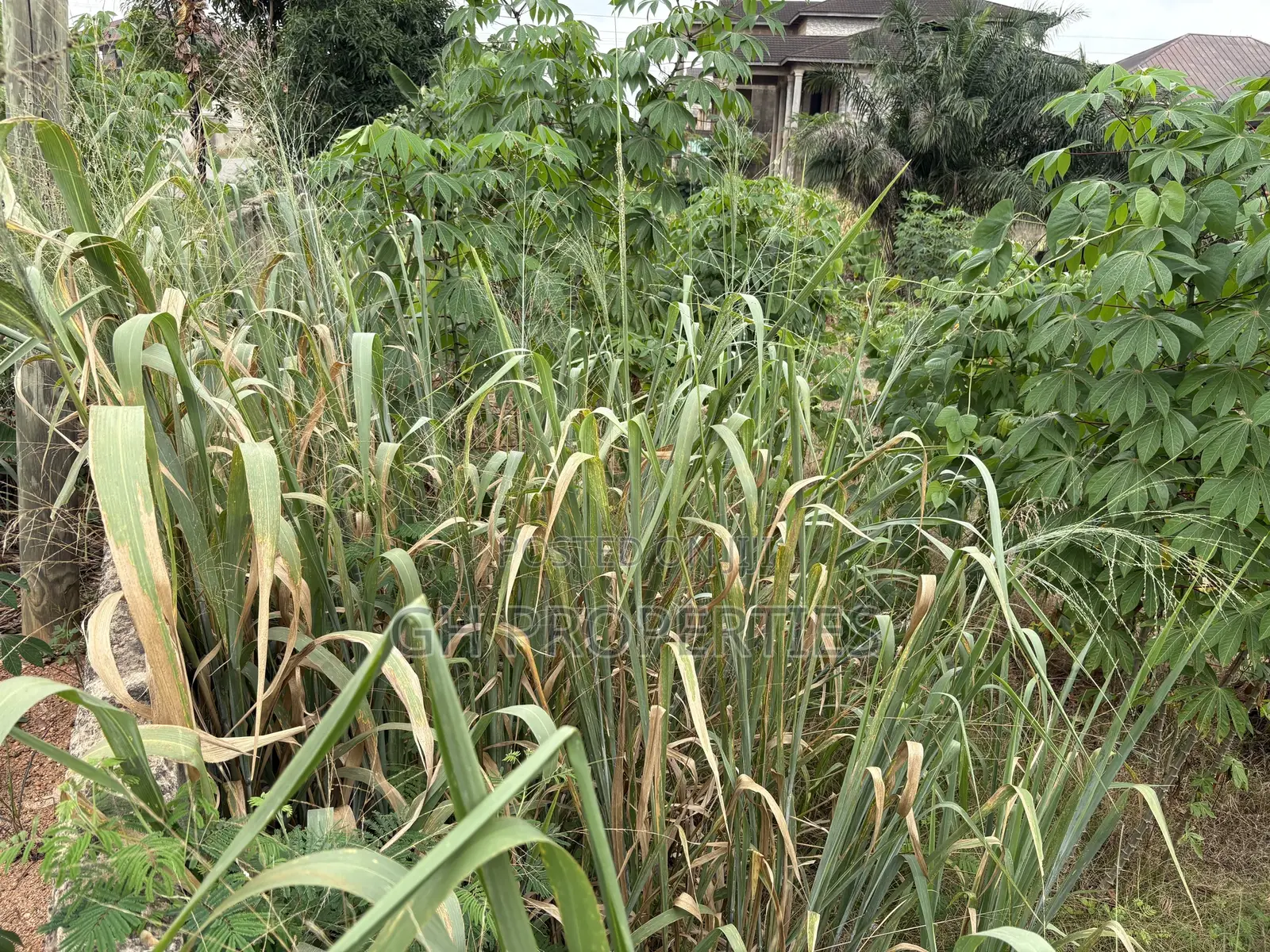 One Full Plot Sale at Hilltop.