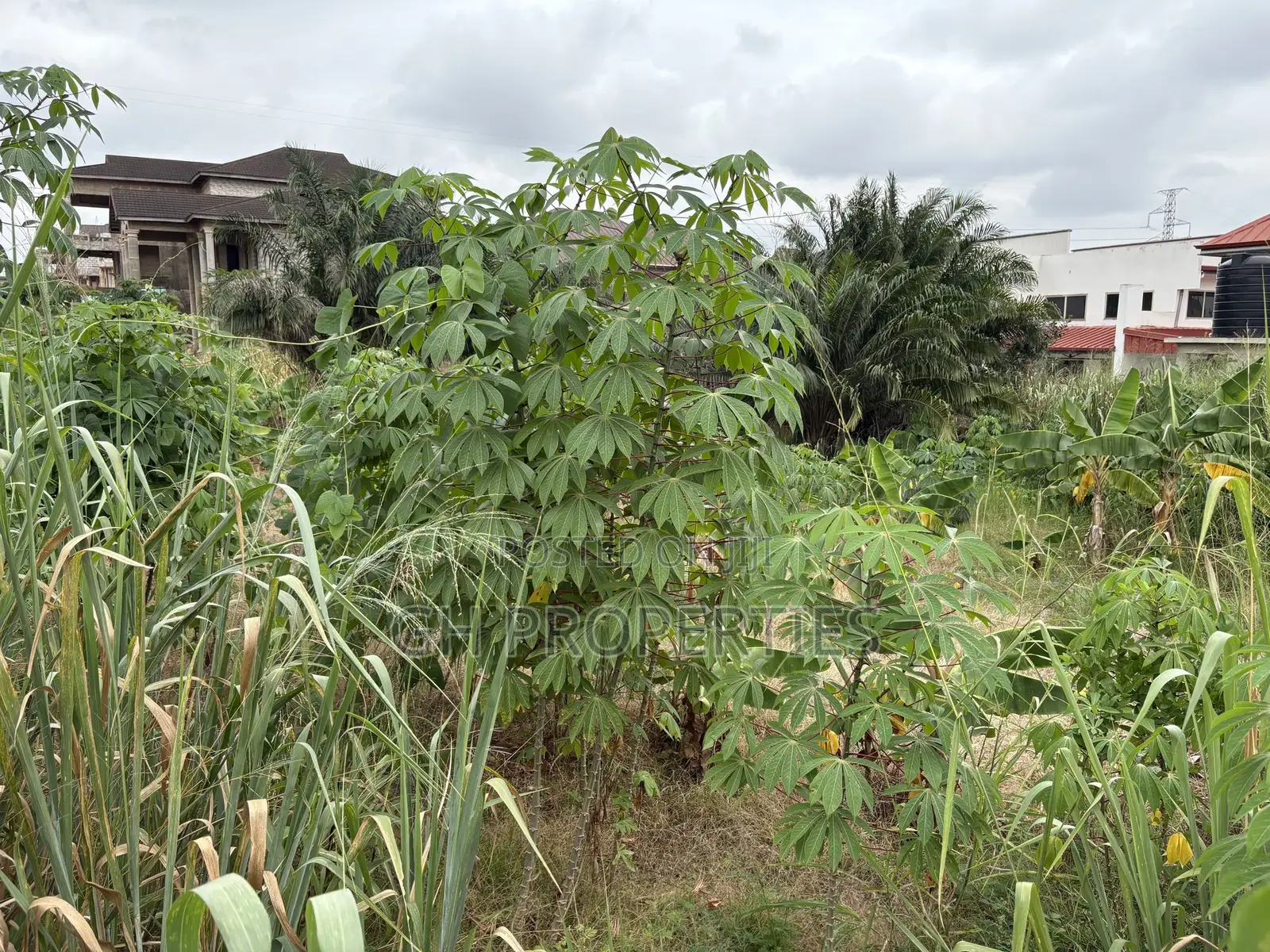 One Full Plot Sale at Hilltop.
