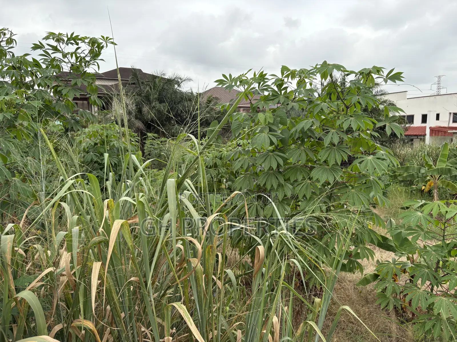One Full Plot Sale at Hilltop.