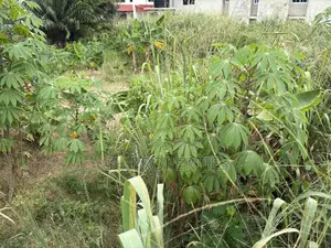 One Full Plot Sale at Hilltop.