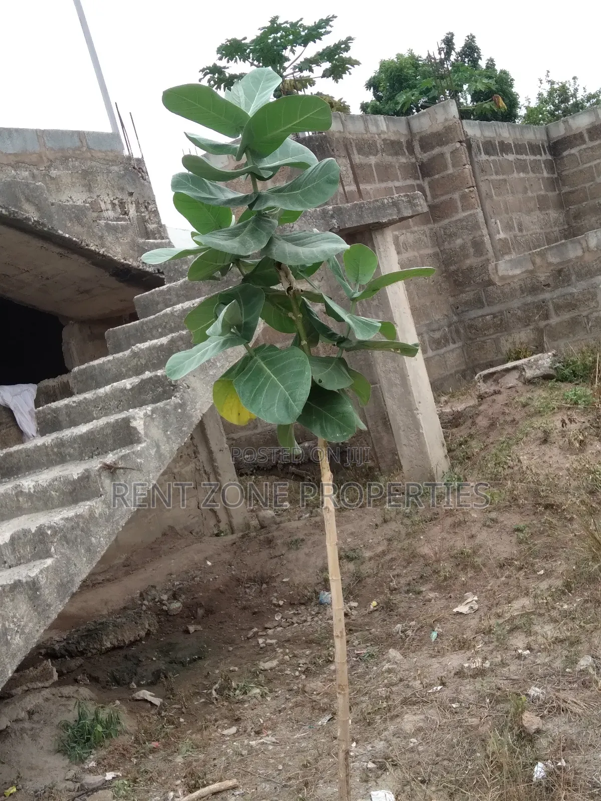 10bdrm Apartment in Rent Zone Properties, Amasaman for sale
