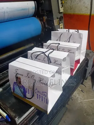 Customised Box Bags