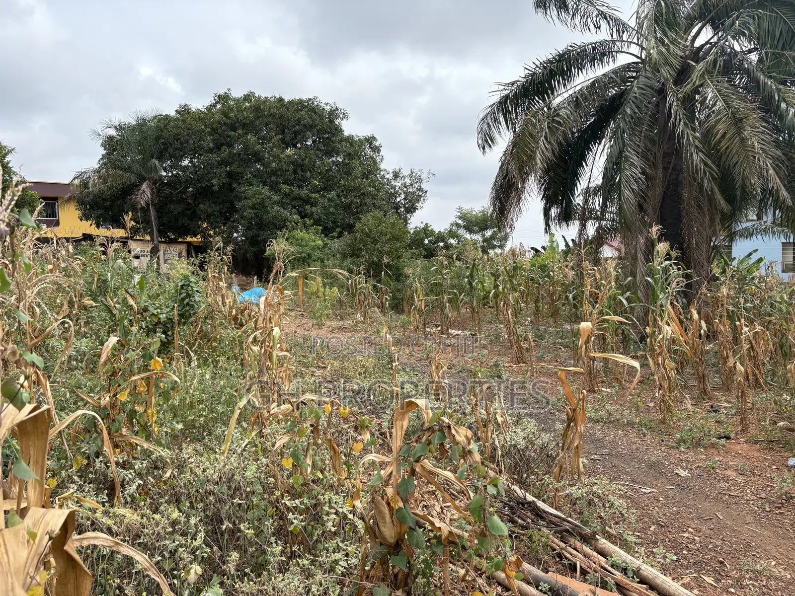 One Full Plot for Sale at Tuc,Kumasi.