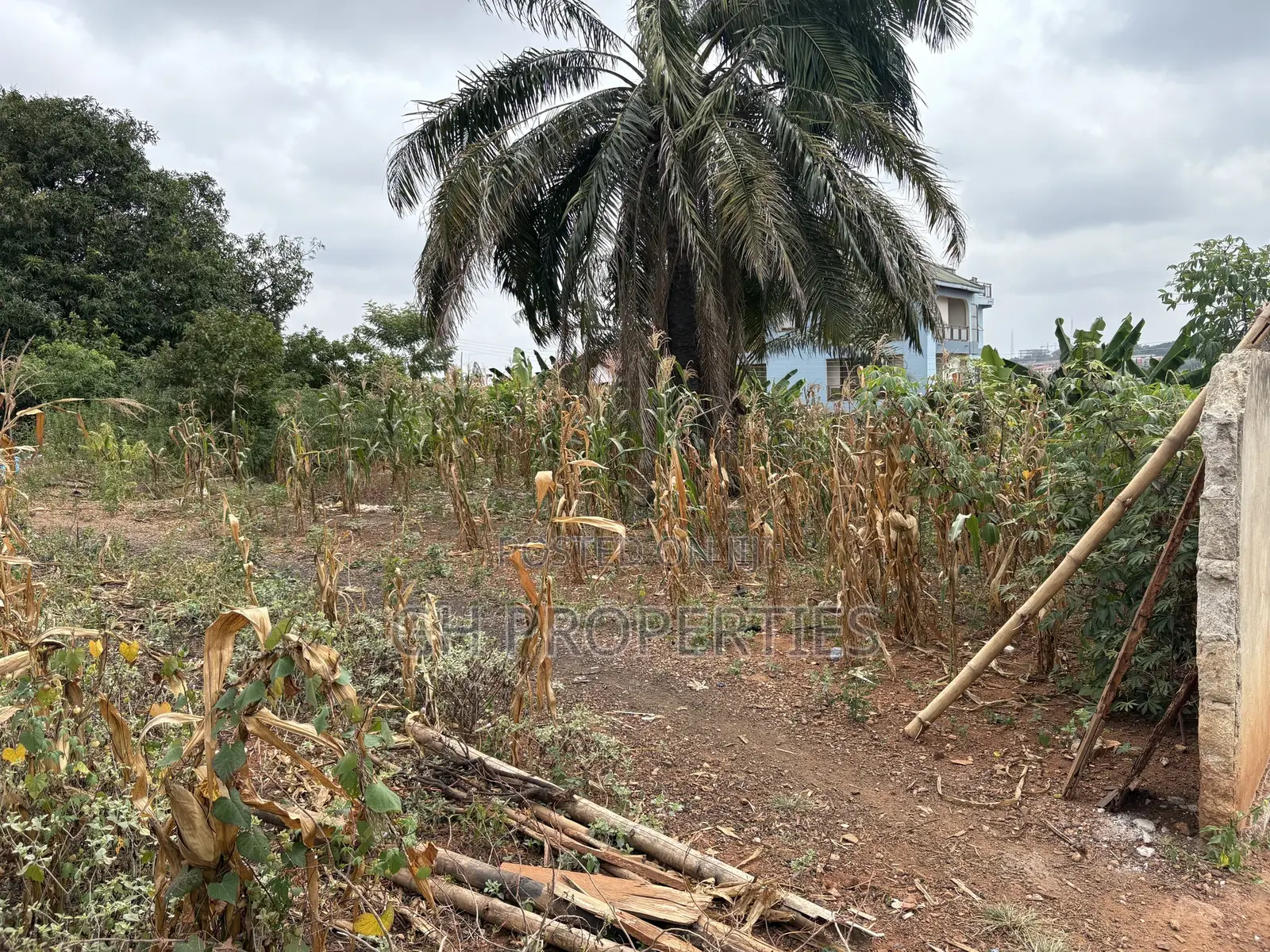 One Full Plot for Sale at Tuc,Kumasi.