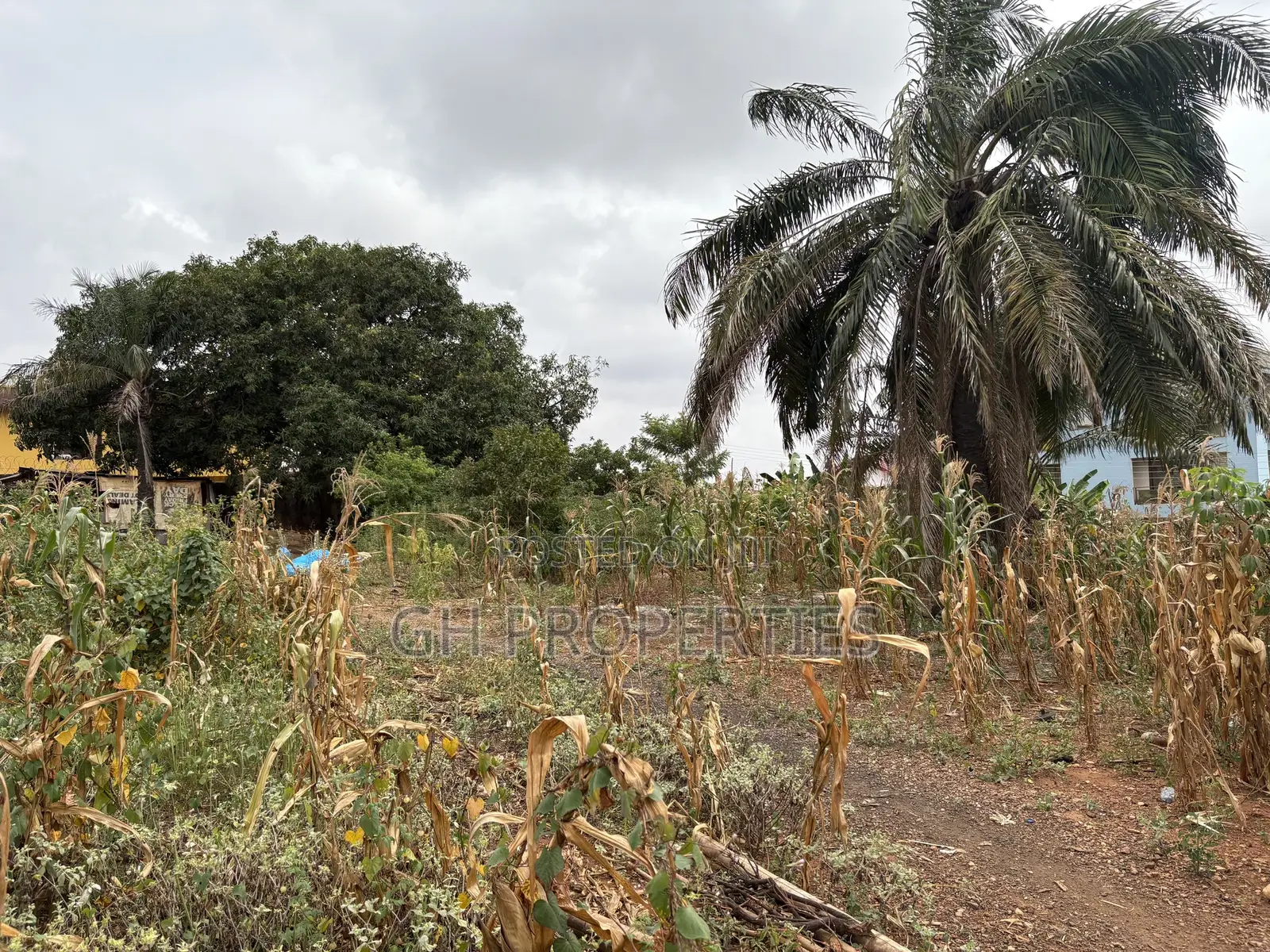One Full Plot for Sale at Tuc,Kumasi.