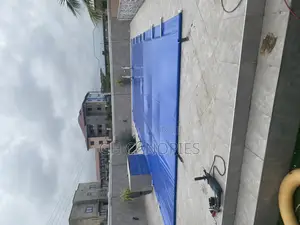 Pool Cover